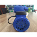 PS126 0.5HP vortex água bombeamento máquina elétrica alimentado bomba de água lista